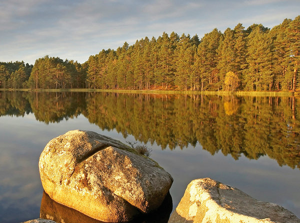 วิธีการโฟกัสภาพให้คมชัด อย่างสมบูรณ์แบบทุกครั้ง