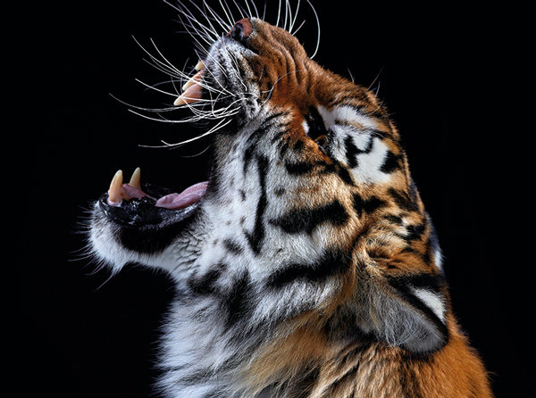 เรียนรู้เกี่ยวกับ…ภาพถ่ายที่คมชัด